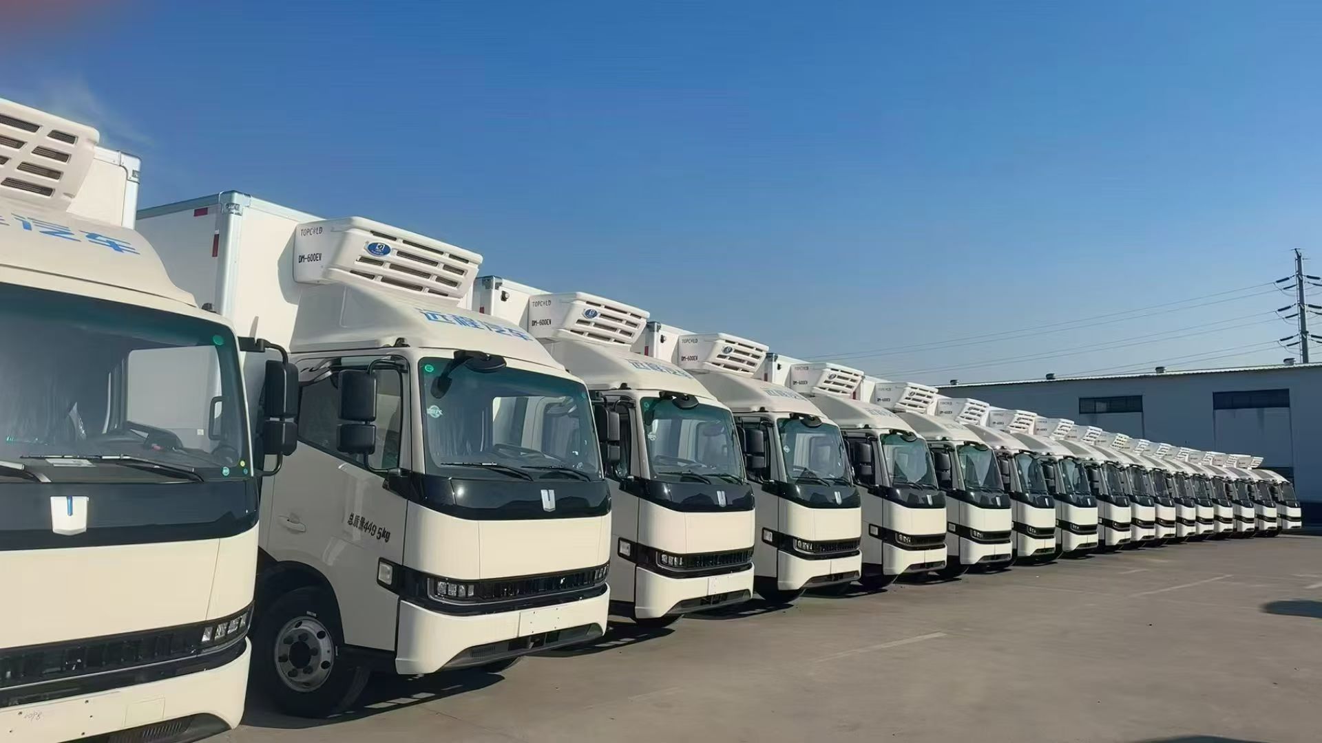 衡阳冷链仓储配送-珠晖区生鲜冷链运输